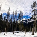 ���� �����, ������, 29 ��� - ��������� 18 ����� 2020 � ������ �Zakopane. Poland�