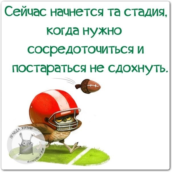   - 6  2020  16:16