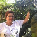 ���� ����, �������, 67 ��� - ��������� 1 ���� 2020 � ������ ���� ����������