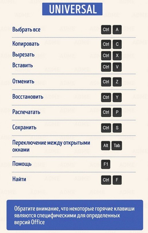 7     MS Office - 2