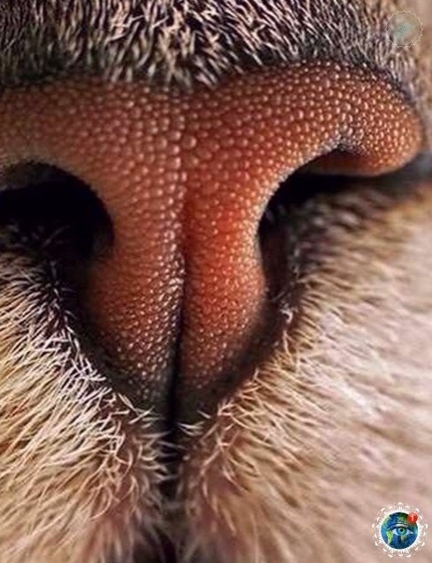 pa, op  oo o oco a  . opoeo ! #