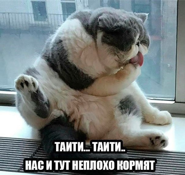    - 16  2020  21:30