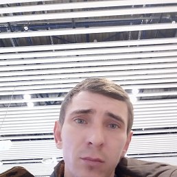 ����, ������, 45 ���