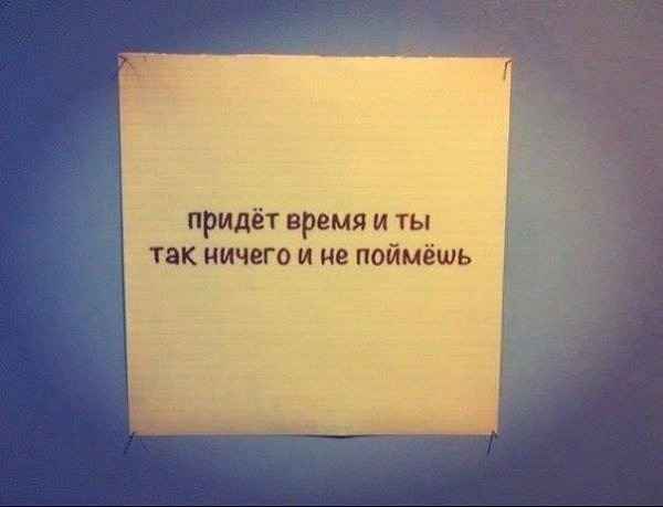 Когда моему сыну было лет 8, он сказал: «После смерти я бы хотел посмотреть свою статистику». Я не ...