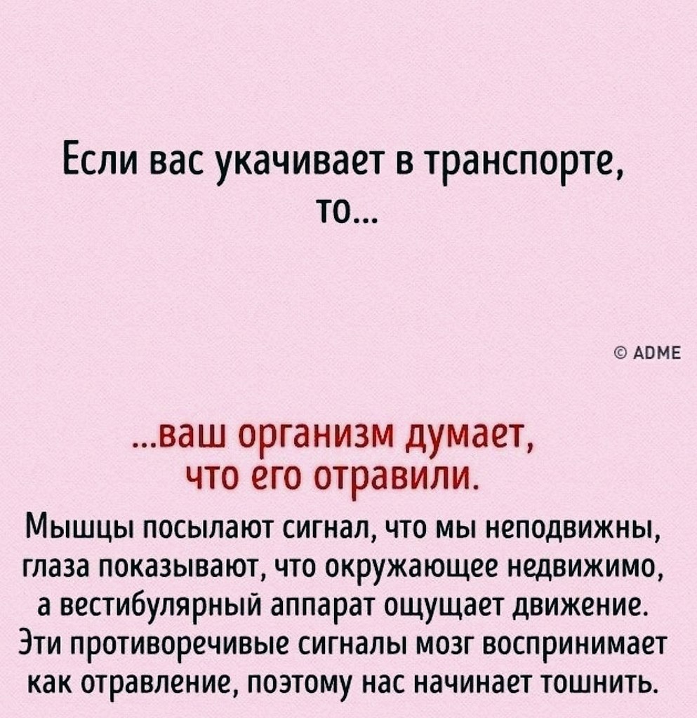        : - 6