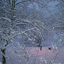 ���� �����, ������, 55 ��� - ��������� 12 ������ 2020 � ������ ���� ����������