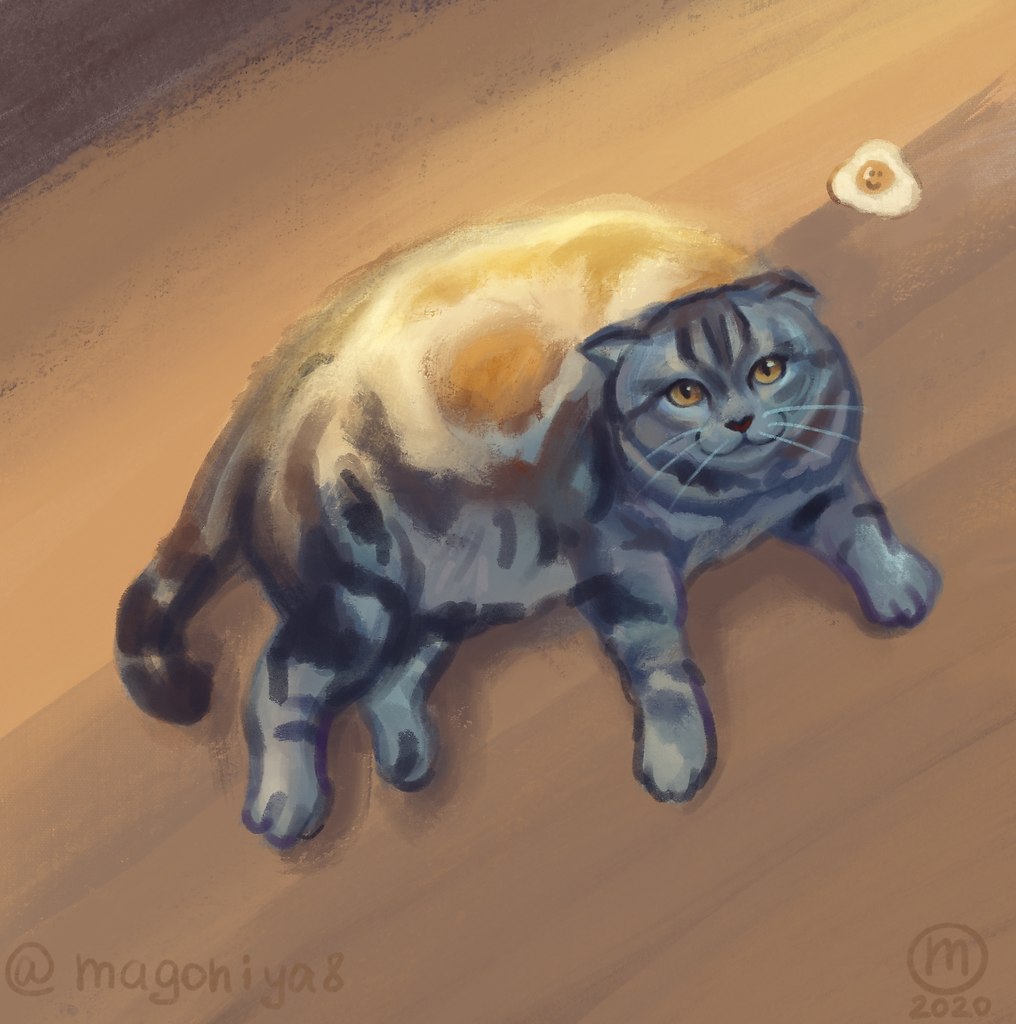     :3 - 6