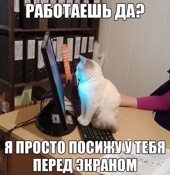    - 22  2020  19:06