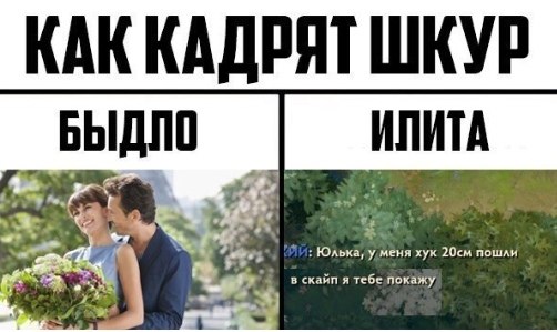 Dota 2 [  ] - 20  2020  19:17