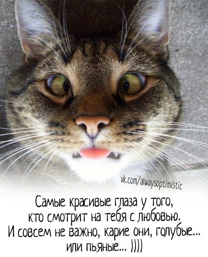   ! - 22  2020  11:03