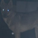 ���� ���������, �����, 48 ��� - ��������� 31 ������ 2020 � ������ ���� ����������