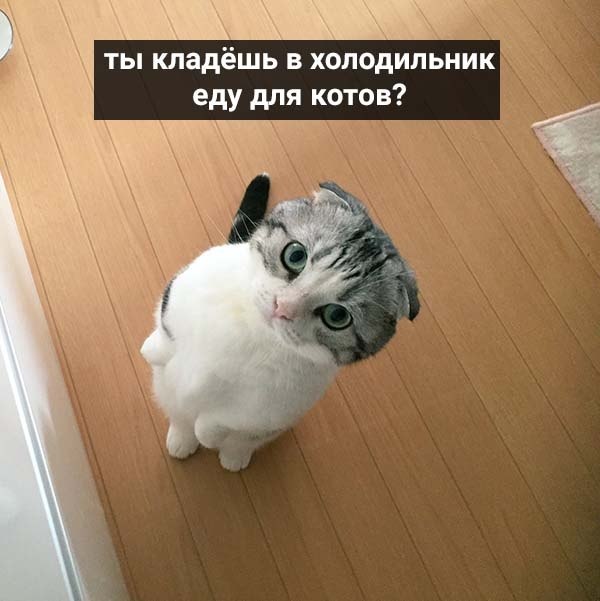        : - 3