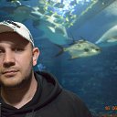 ���� �������, �������������� - ��������� 8 ������ 2020 � ������ ���� ����������