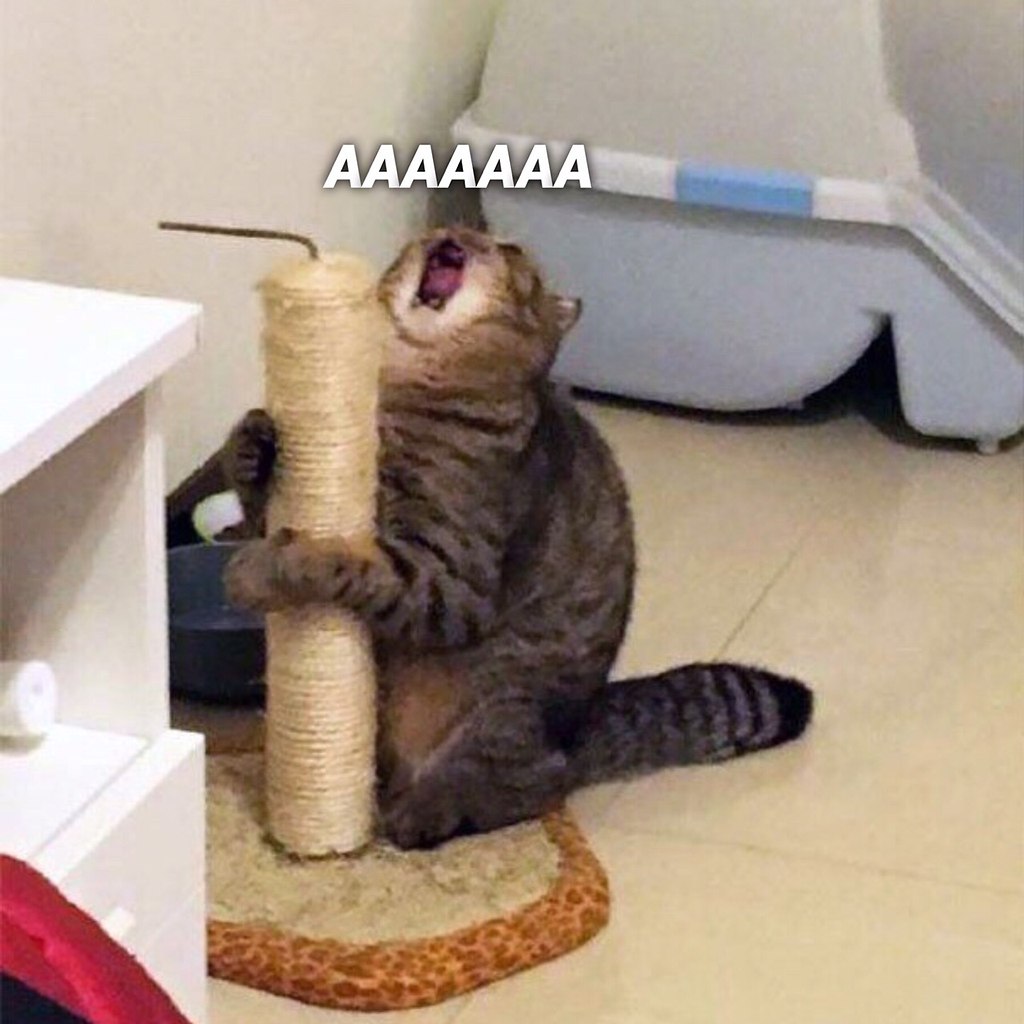 -  ? - . -     ? -    - 4