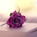���� Elena, �������� - ��������� 6 ������� 2020 � ������ ������ ��������