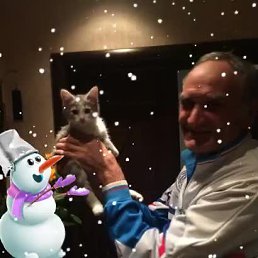 �������, �������, 80 ���