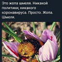 ���� �����, ��������� - ��������� 22 ����� 2020 � ������ ������ ��������