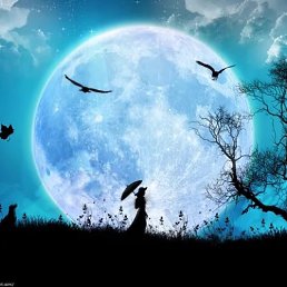 ������, �����, 55 ���