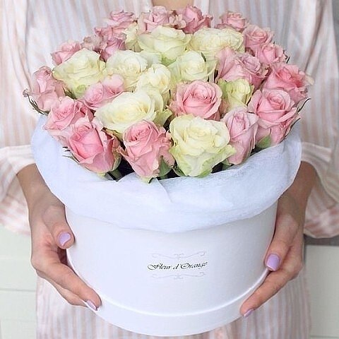     ,       ,  , , ... - 3