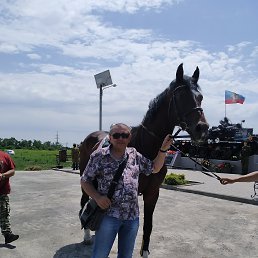 ���� �������, ��������� - ��������� 21 ���� 2020