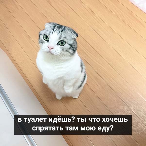        : - 5