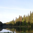 ���� �������, �����, 59 ��� - ��������� 28 ��� 2020 � ������ ���� ����������