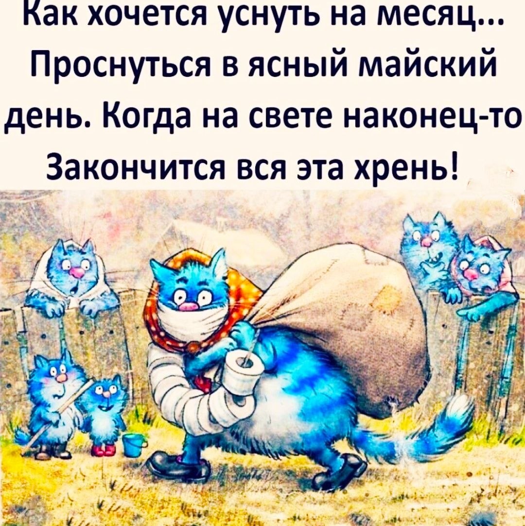  - 16  2020  19:51