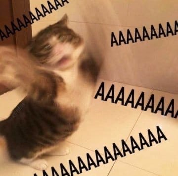     : - 4
