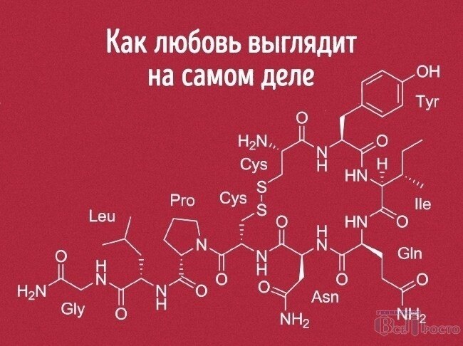 Как должна выглядеть любовь интересно