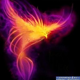 �������, ������, 42 ����