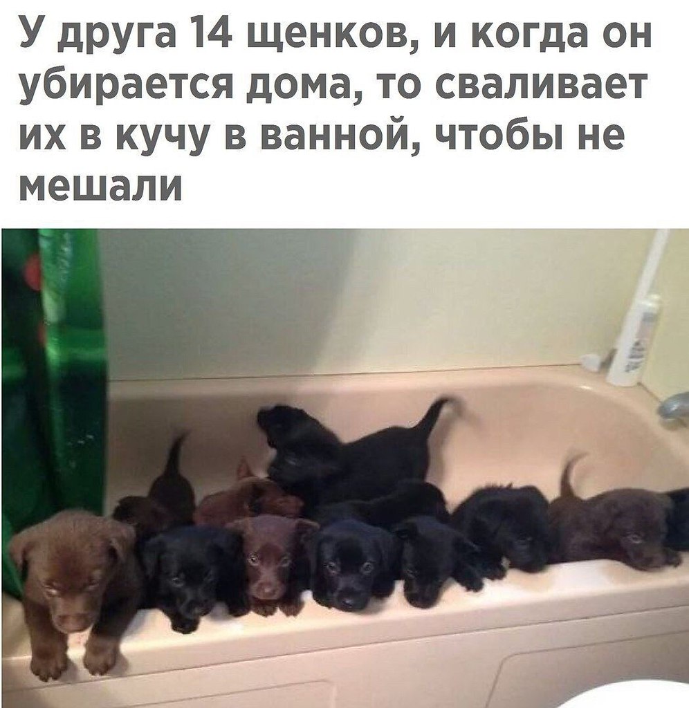 ������� - 17 ������ 2020 � 18:27