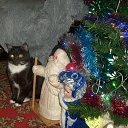  , , 36  -  9  2020     2020