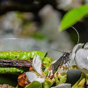  ,  -  2  2020     2020