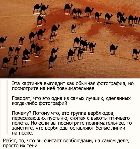 LIFE -  - 24  2020  19:06
