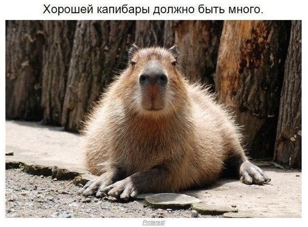 ea, o aa ea aaca oco ... - 4