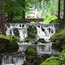 ���� �����, ������ - ��������� 1 ���� 2020