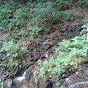 ���� ������, �����, 50 ��� - ��������� 12 ������ 2020