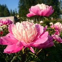  , , 41  -  23  2020      )))