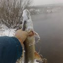 ���� �, ������ - ��������� 28 ������ 2020 � ������ ���� ����������