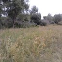 ���� ������, ����, 51 ��� - ��������� 15 ������ 2020 � ������ �������