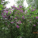 ���� ��������, Kouvola, 78 ��� - ��������� 10 ���� 2020 � ������ ������