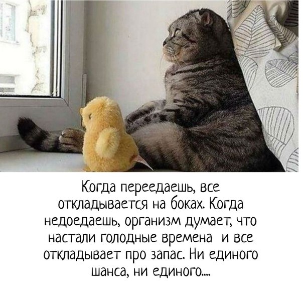   :)
