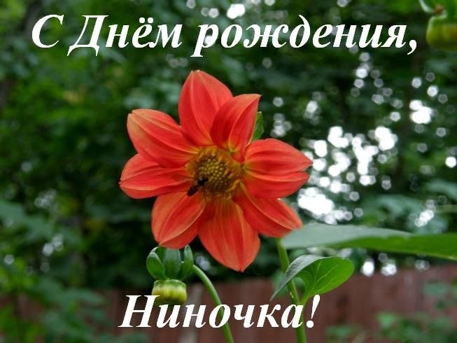   ,    . - 13  2020  07:45