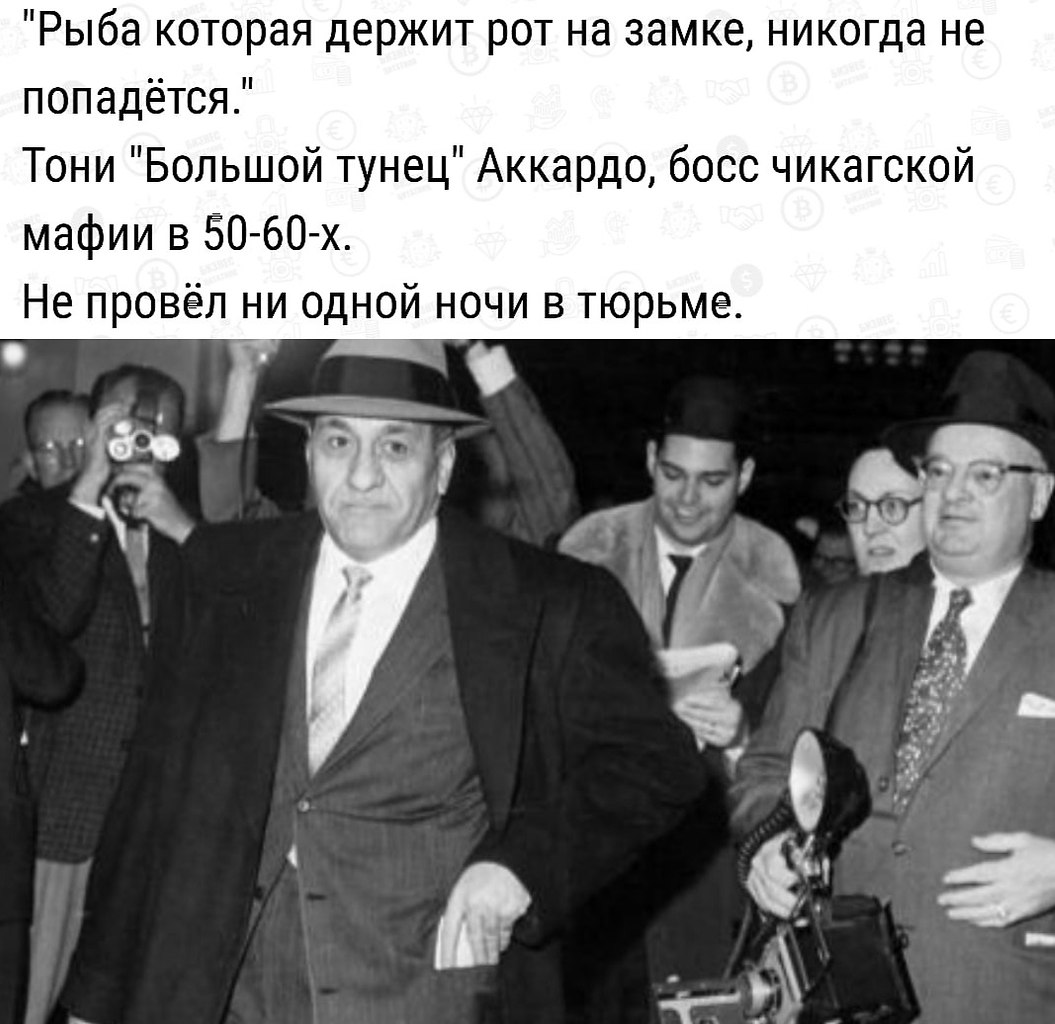 BEST | , ,  - 14  2020  19:06
