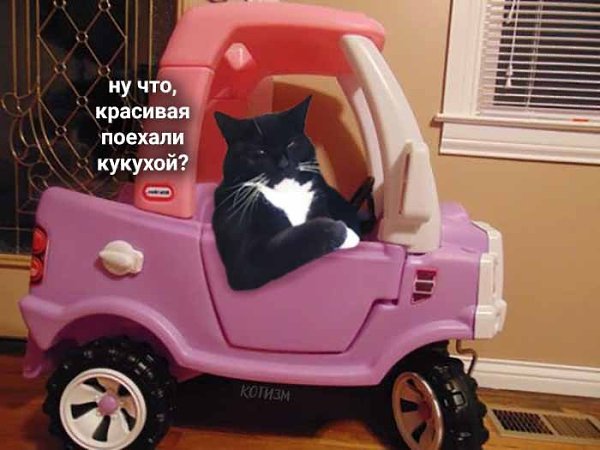     :