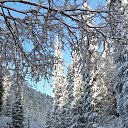 ���� Victor, �����������, 65 ��� - ��������� 17 ������ 2020