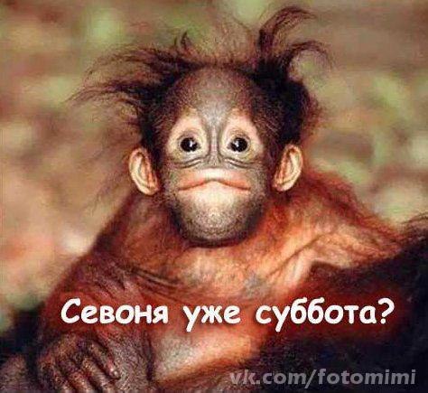 ������ - 15 ������� 2020 � 15:58
