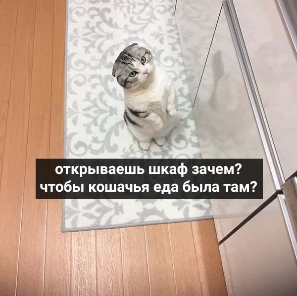        : - 4