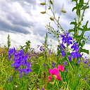 ���� ���������, �������, 57 ��� - ��������� 30 ���� 2020 � ������ ������ ��������
