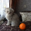 ���� ����, ������ �����, 70 ��� - ��������� 9 ������� 2020 � ������ ���� ����������